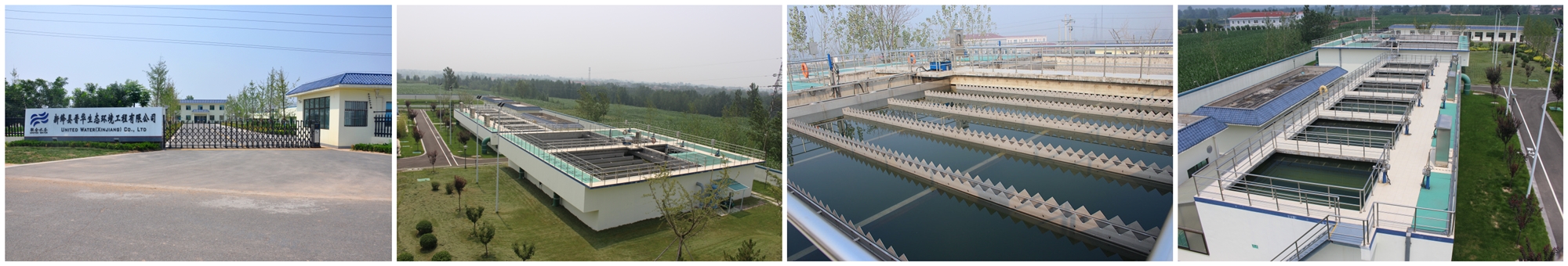 AG��˾(�й�����)�����޹�˾����