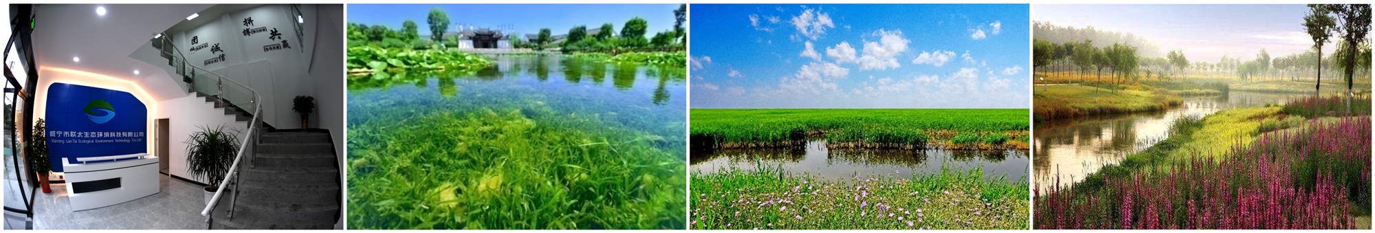 AG��˾(�й�����)�����޹�˾����