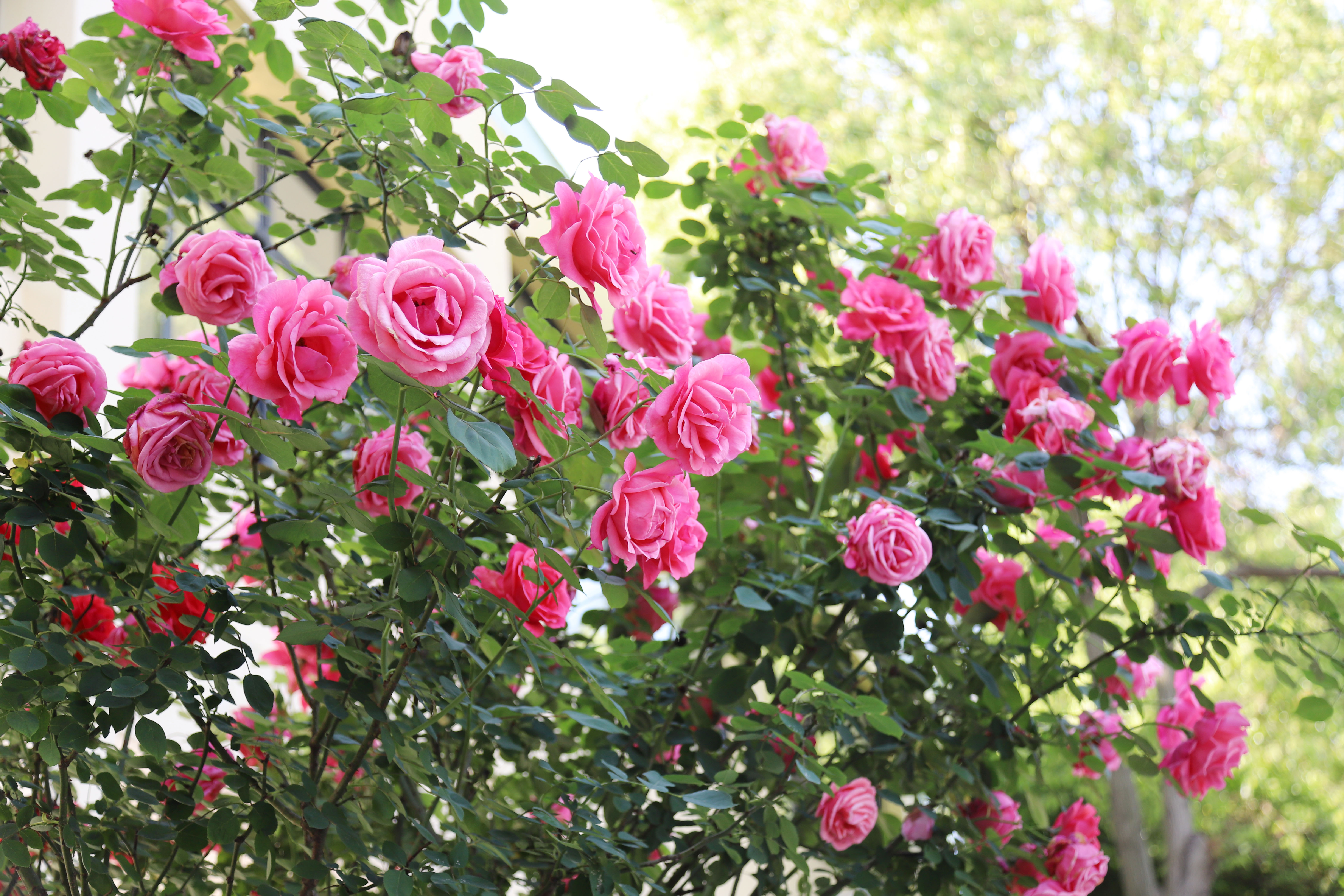 AG��˾(�й�����)�����޹�˾����